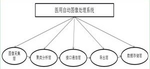 A medical automatic image processing system