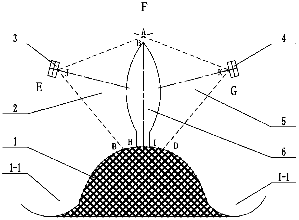 High-efficiency scanning spraying method of whole plants of Allium fistulosum