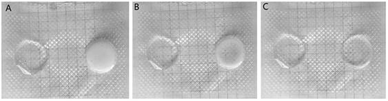 Preparation method of temperature-sensitive hydrogel and temperature-sensitive hydrogel product prepared by preparation method