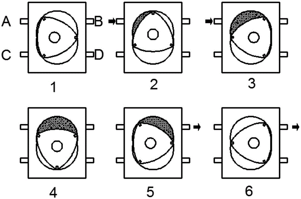 Double-cylinder eccentric rotary pump