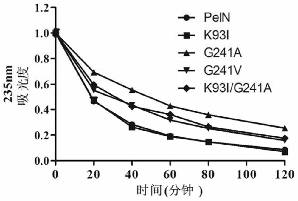 Alkaline pectinase mutant with improved thermostability and its coding gene and application