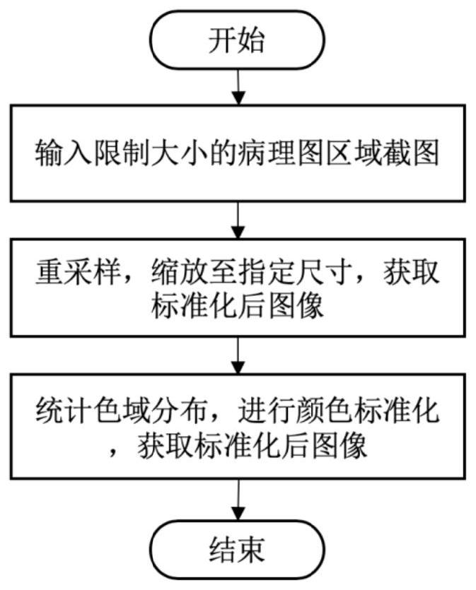 Digital pathological image retrieval system