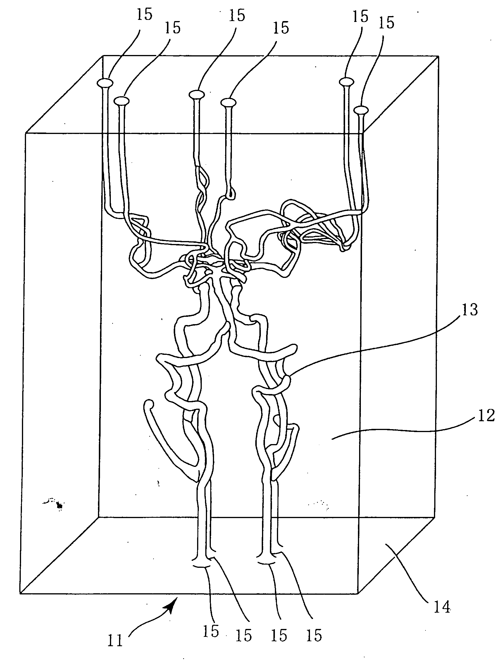 Three-dimensional model