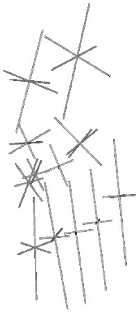 A method for constructing arch-rod structure based on the principal axis of the living bone inertia of the arch of the foot