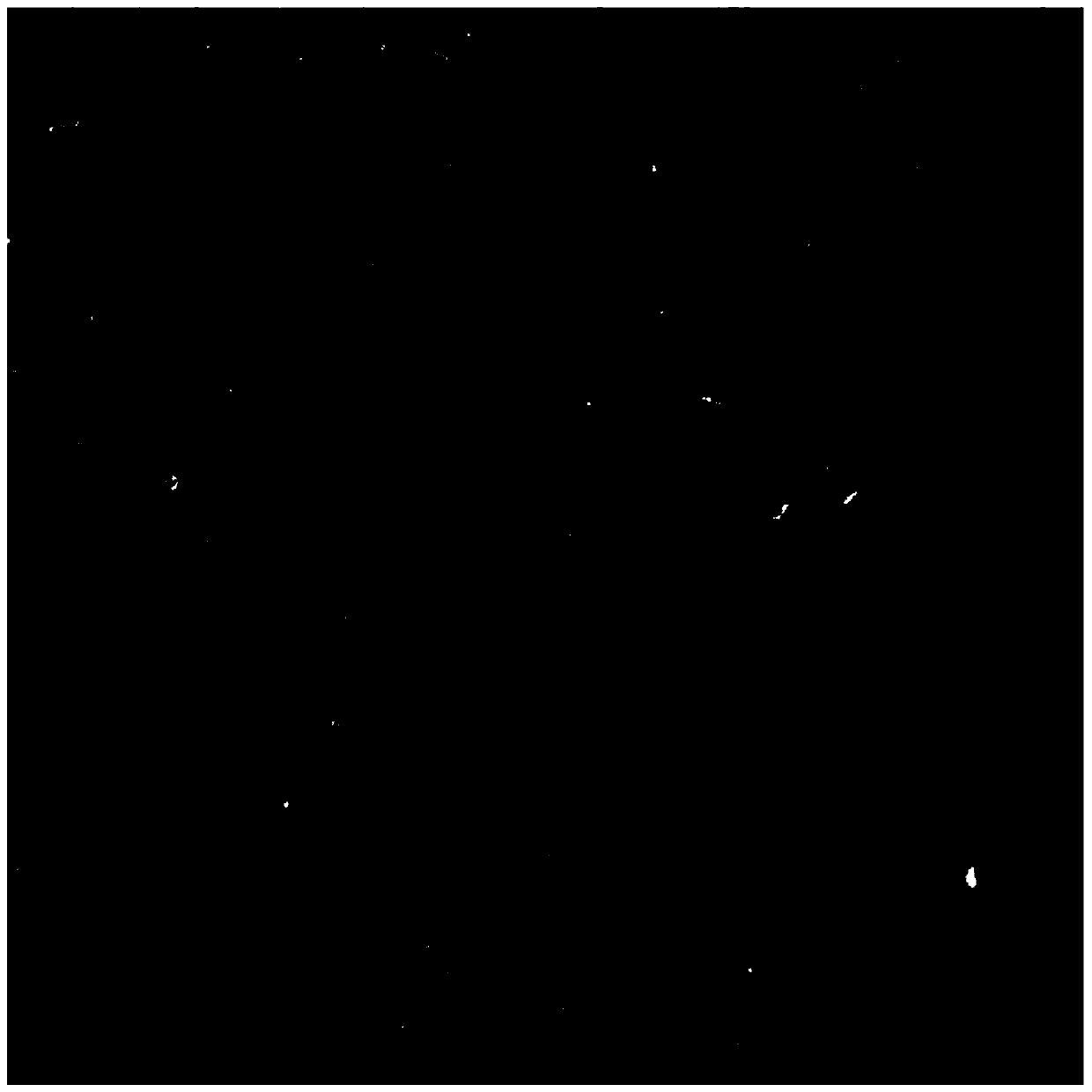 HIFU biological targeting synergist and preparation method thereof