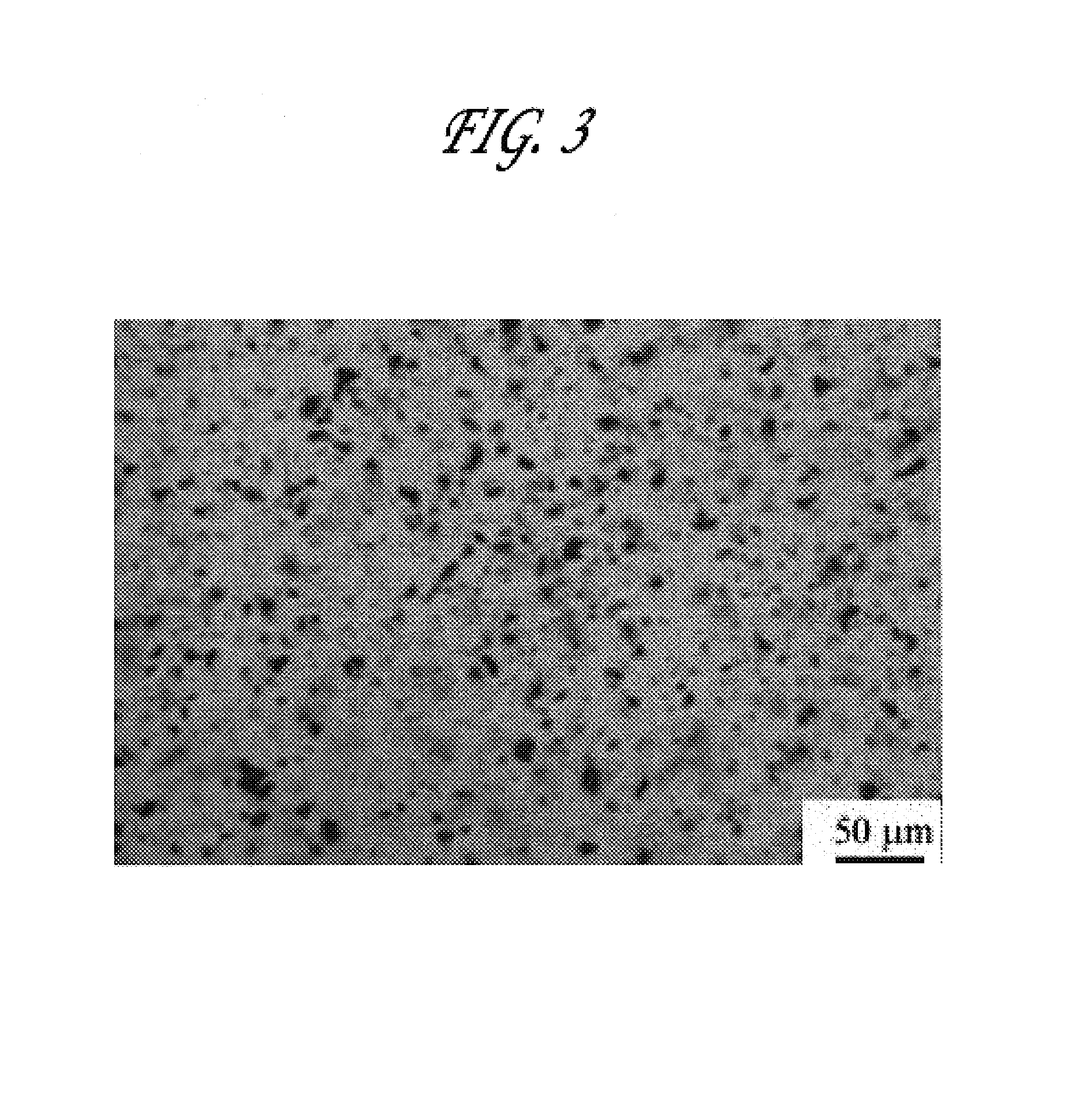 Flame retardant nanocomposite