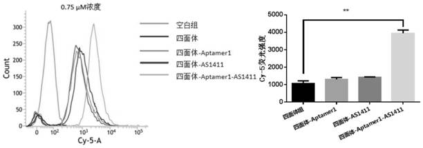 Establishment and synthesis method of dual-targeting DNA (deoxyribonucleic acid) nano drug-loaded complex