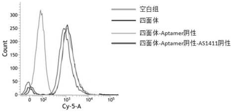 Establishment and synthesis method of dual-targeting DNA (deoxyribonucleic acid) nano drug-loaded complex