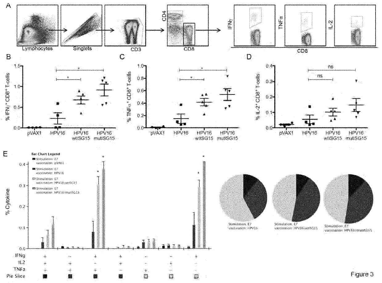 ISG15 and its use as an adjuvant