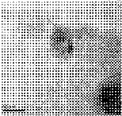 Graphene nanometer sheet-cobaltous oxide composite negative electrode material of lithium ion battery and preparation method thereof