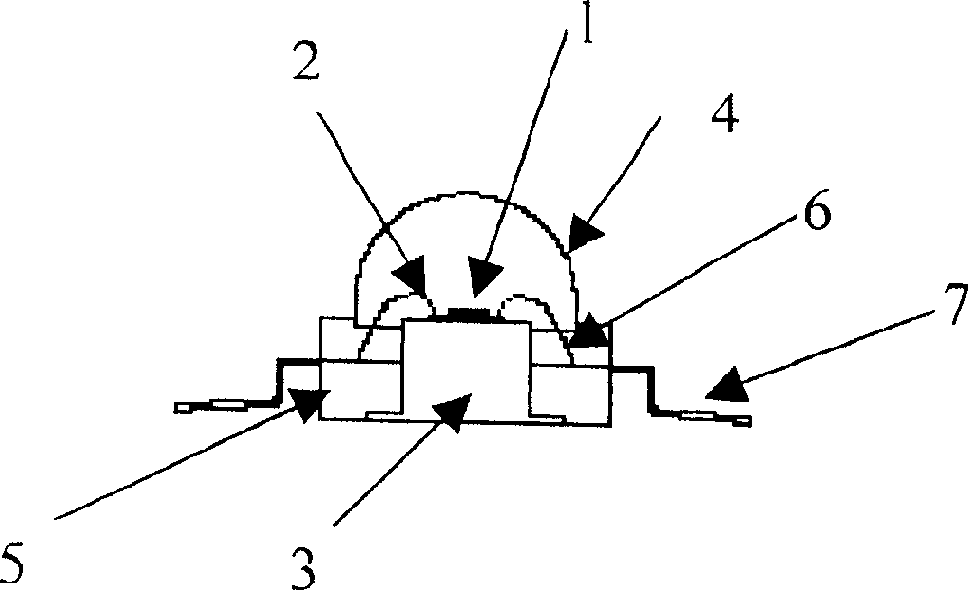 Universal light-emitting diodes and light thereof