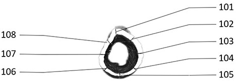 Preparation method of 3D printing stent for maintaining specimen skin branch chain shape