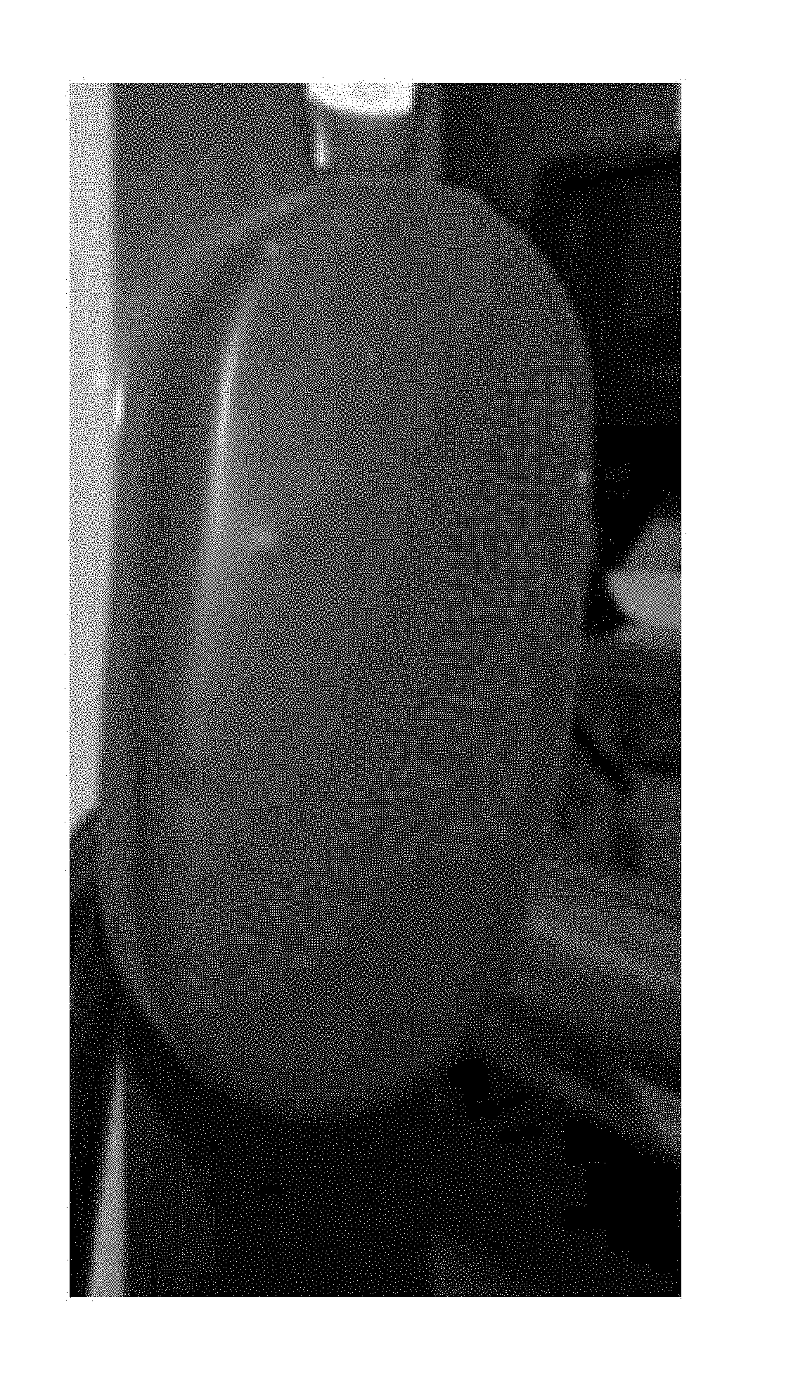 Process for manufacture of coated frozen confection