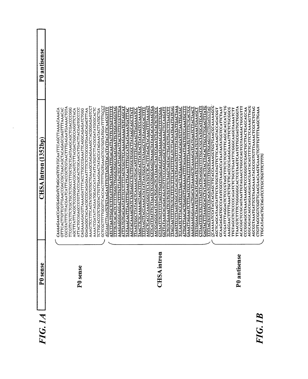 P0 gene silencing constructs and use