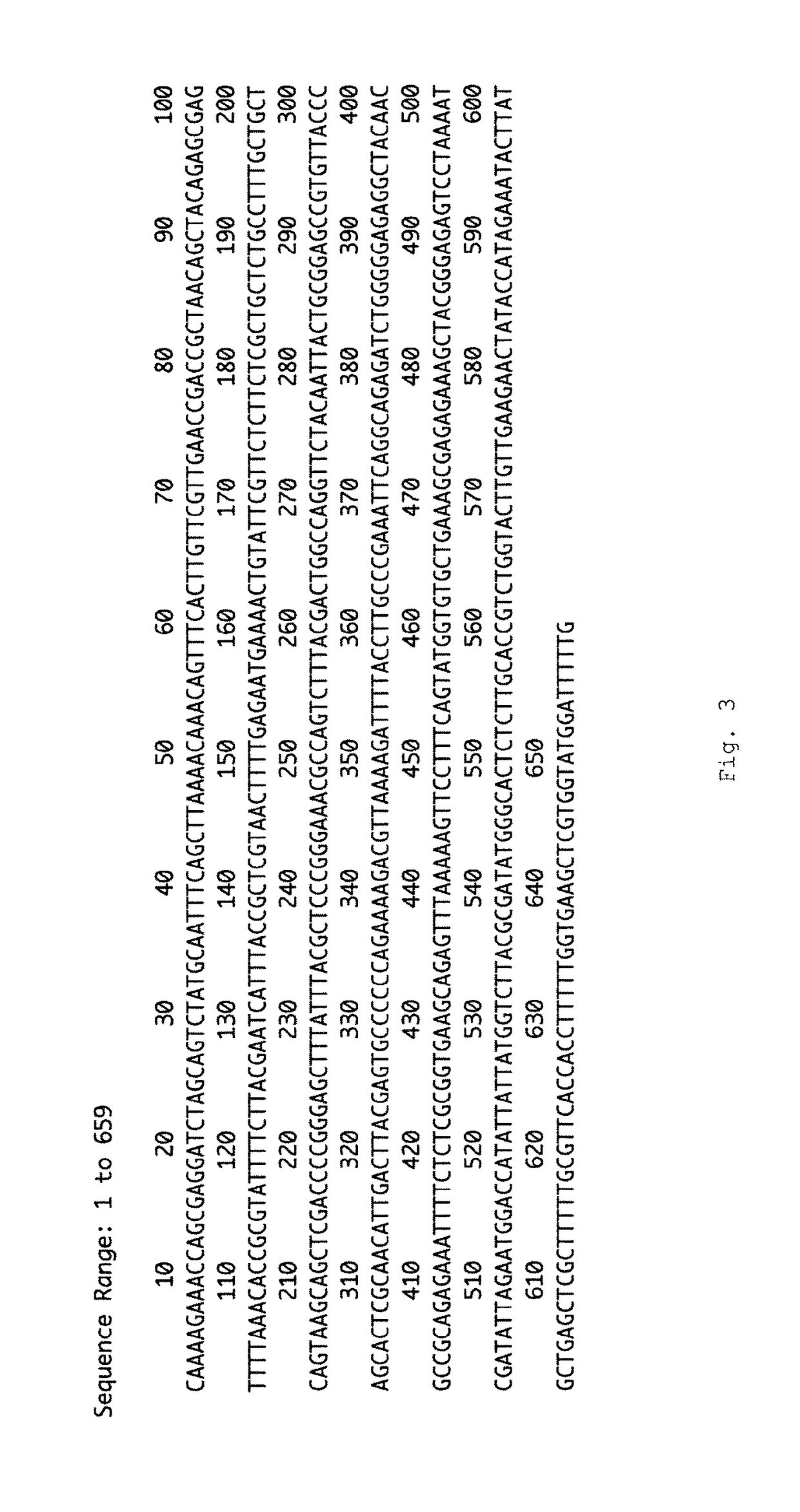 P0 gene silencing constructs and use