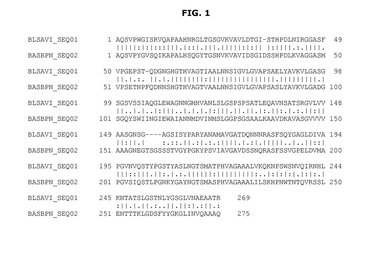 Subtilase variants and polynucleotides encoding same