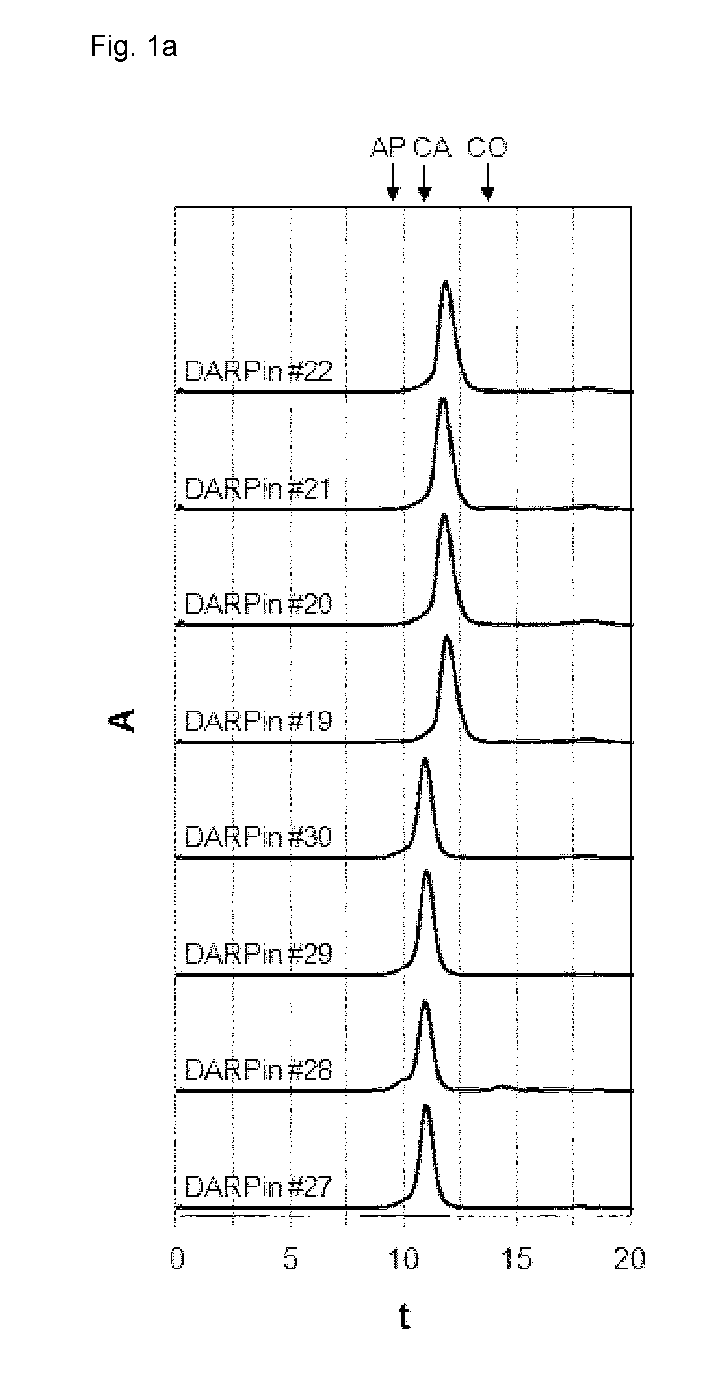 Designed repeat proteins binding to serum albumin