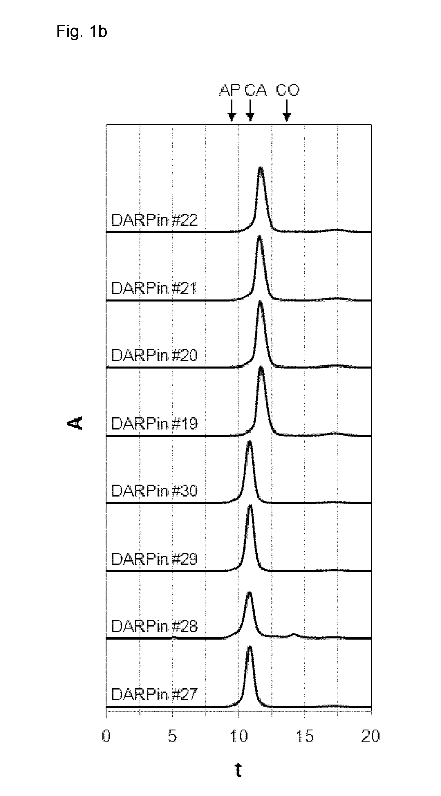 Designed repeat proteins binding to serum albumin