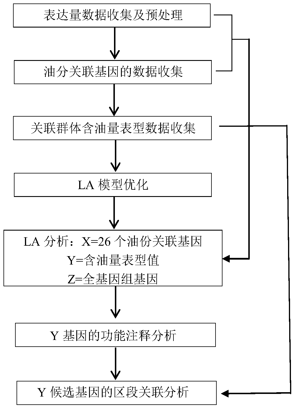 Method for predicting unknown corn gene functions on the basis of oil content-related genes and oil content dynamic correlation