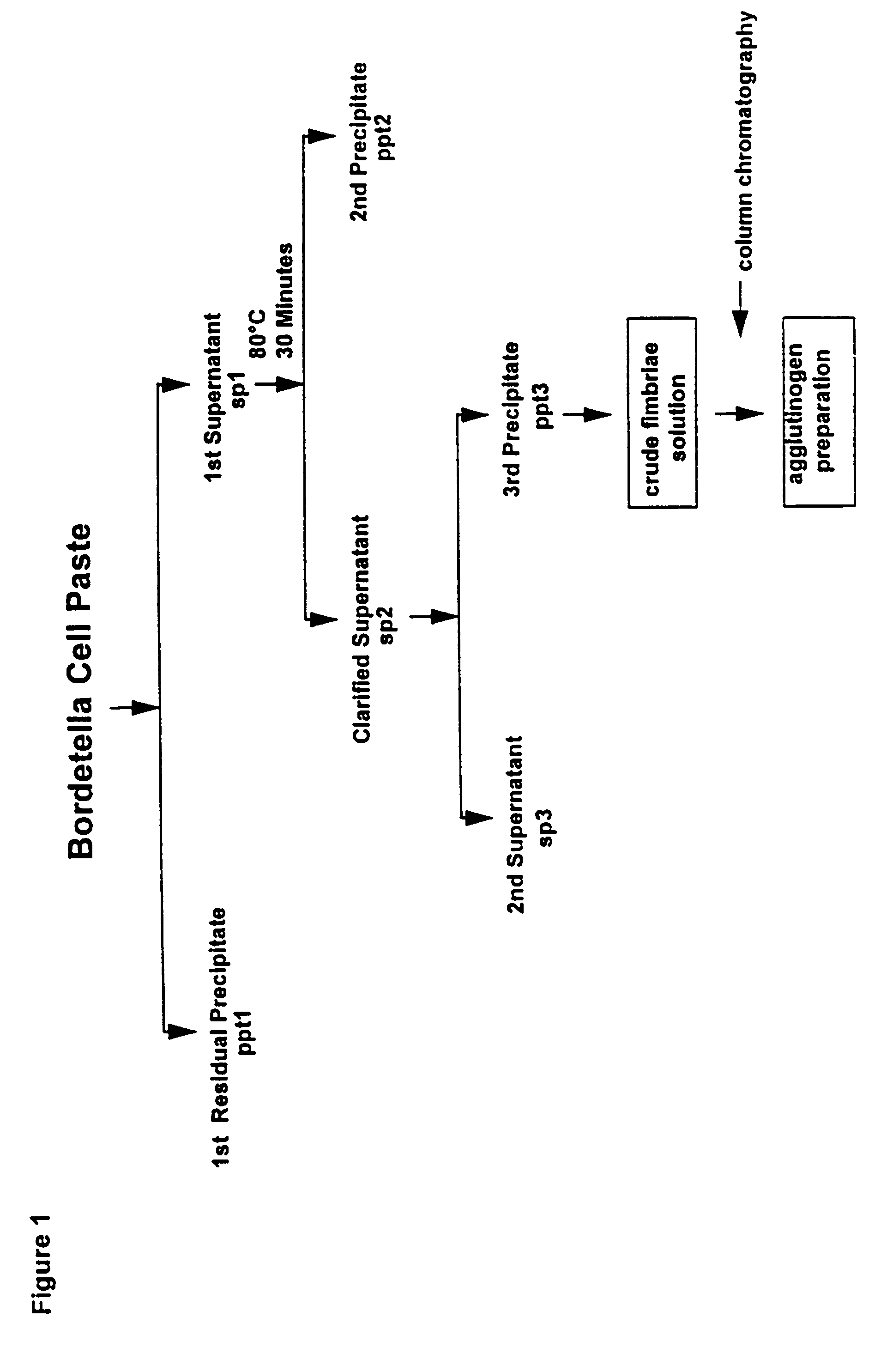 Acellular pertussis vaccines and methods of preparation thereof