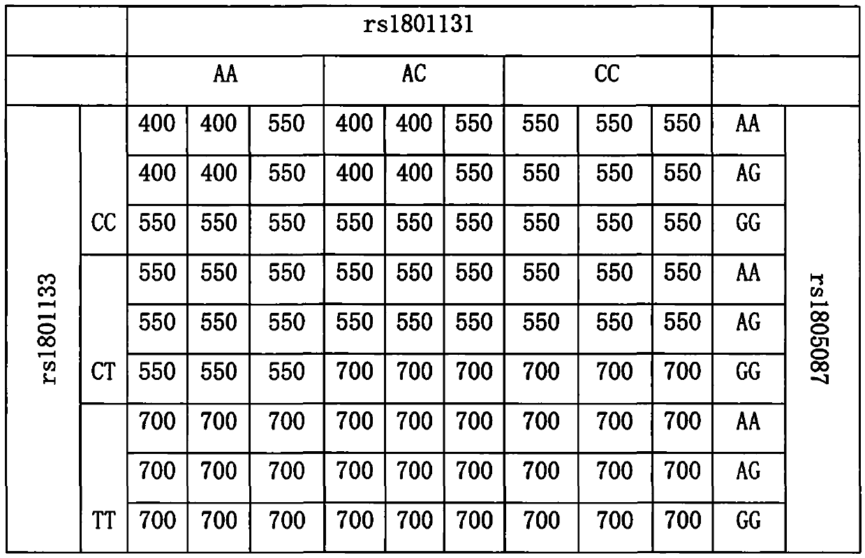 Gene detection method of amount of individual folic acid replenisher