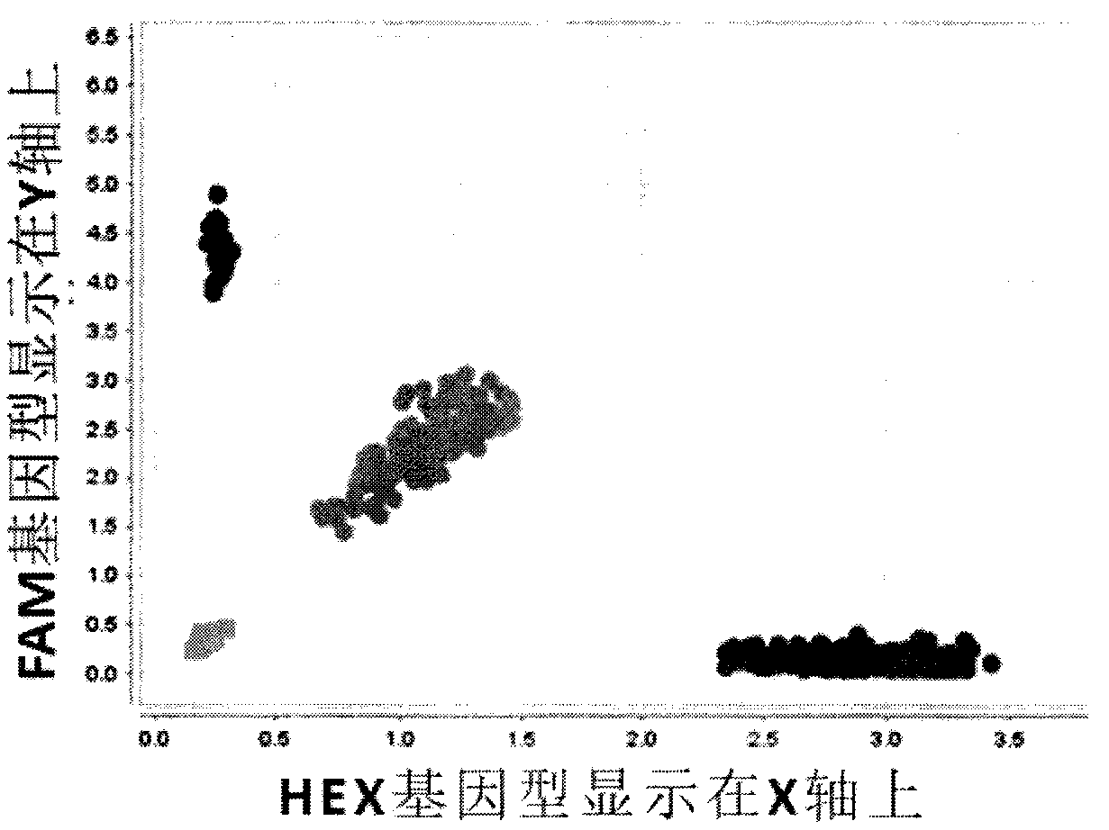 Gene detection method of amount of individual folic acid replenisher