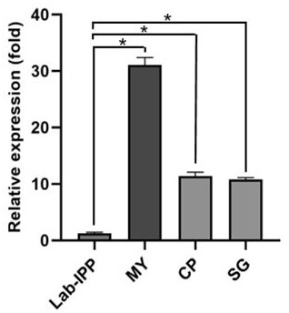 A Cytochrome p450 and Its Application in Degrading Pesticide Residues