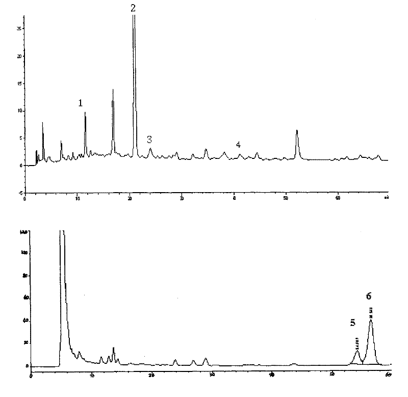 Lung cancer preventing and treating composition extracted from selfheal and/or garden orache and application thereof in preparation of lung cancer preventing and treating medicine