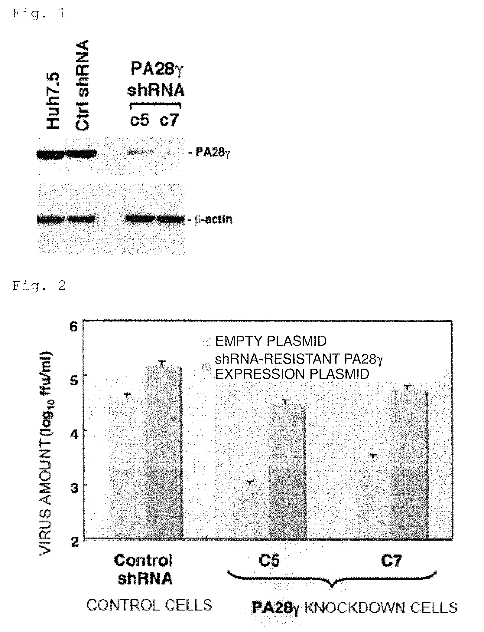 Anti-hepatitis C virus composition