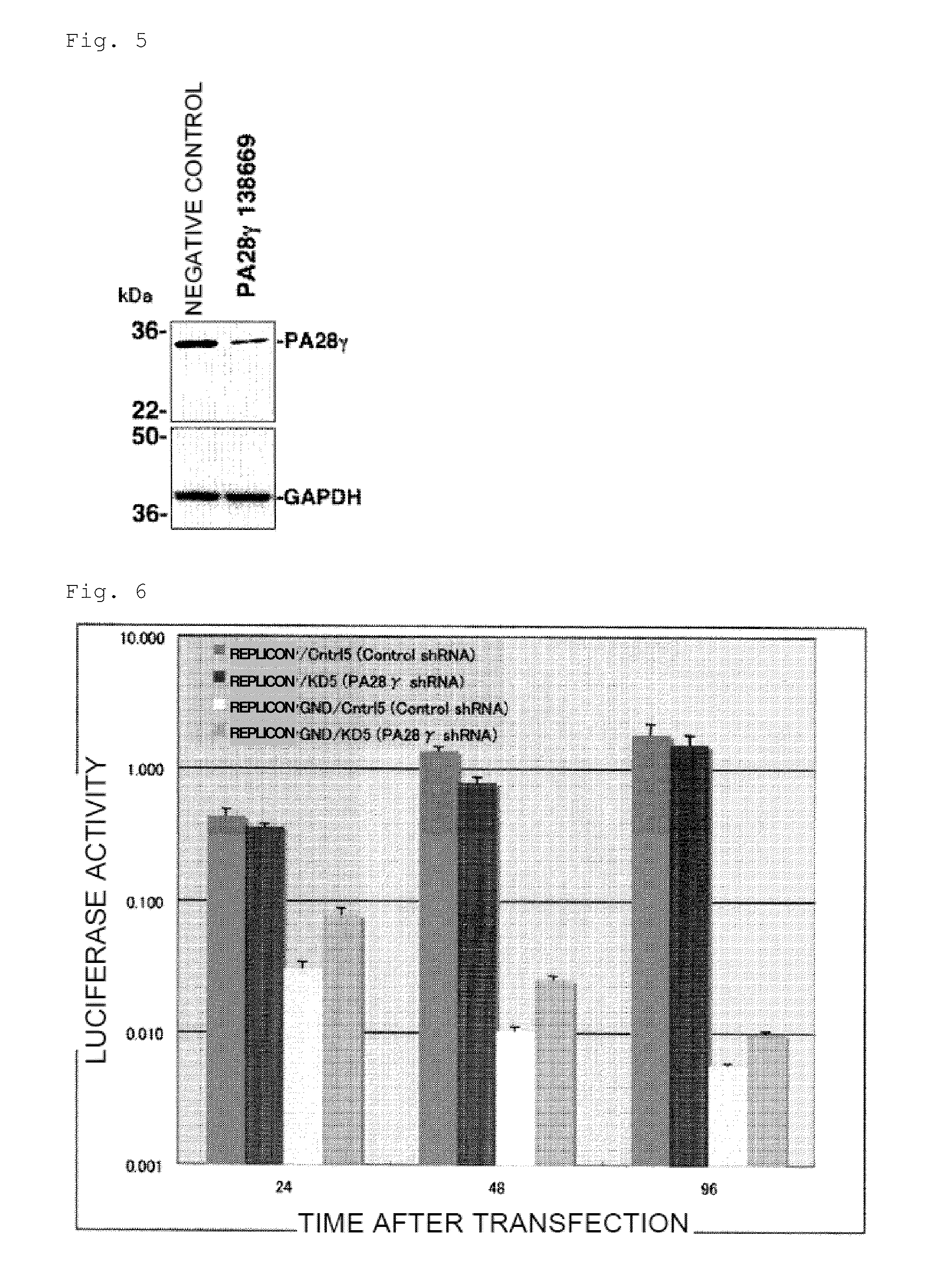 Anti-hepatitis C virus composition