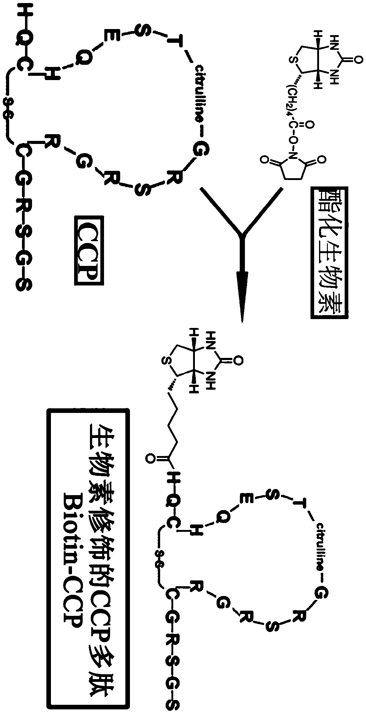 Method for detecting valence of antibody