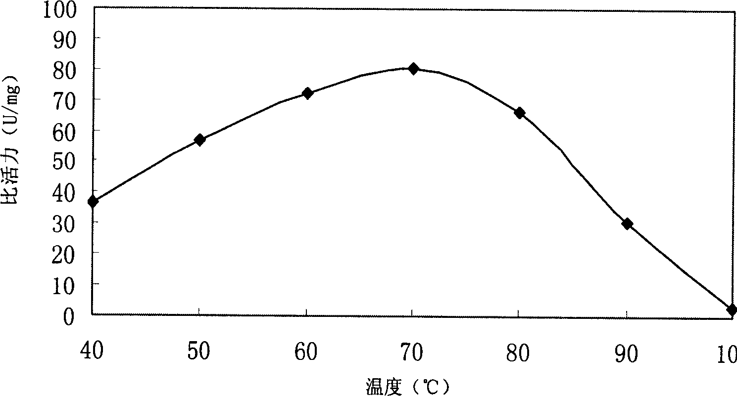 Thermo philic alkali beta glucosidase and its coding gene