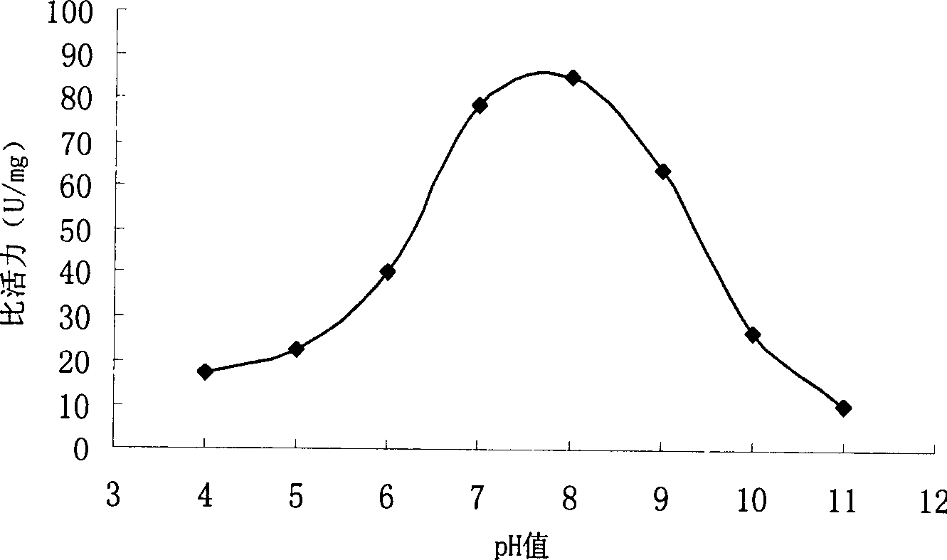 Thermo philic alkali beta glucosidase and its coding gene