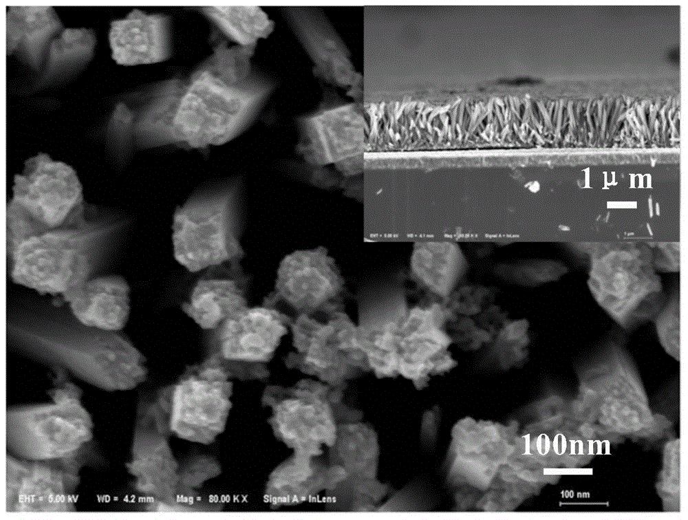 CuCrO2/TiO2 composite photocatalyst and preparation method thereof