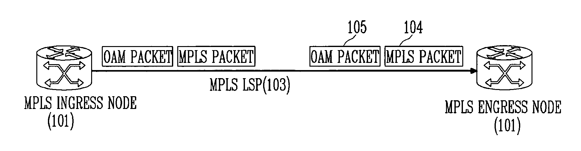 Method for measuring performance of MPLS LSP