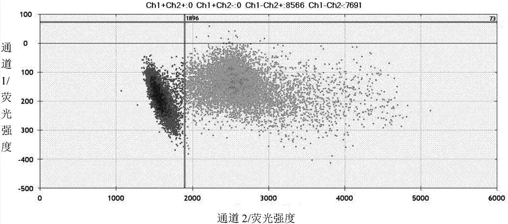 Quantitative standard substance for BRAF and EGFR gene mutation detection, preparation method and valuing method thereof