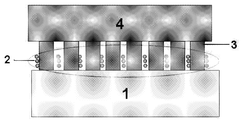 Preparation method of GaN substrate