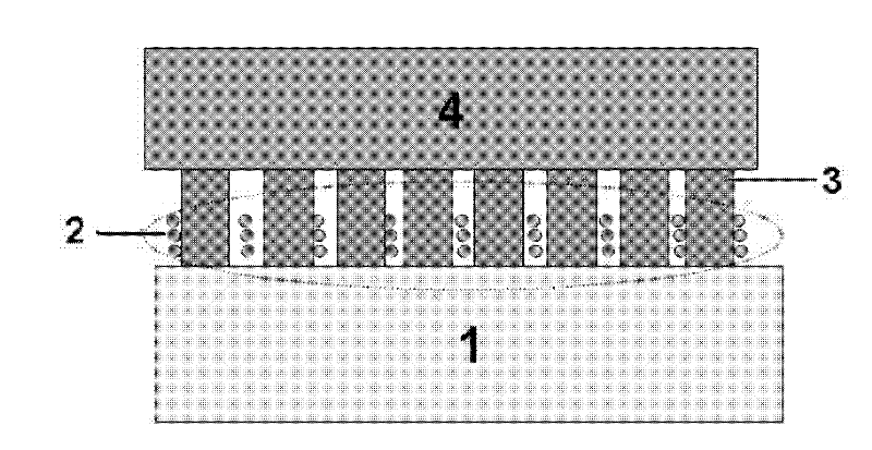 Preparation method of GaN substrate