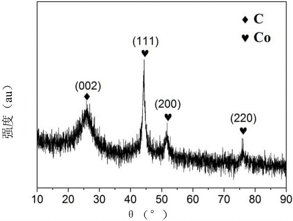 Nitrogen-doped carbon nanotube/Co composite catalyst and preparation method and application thereof