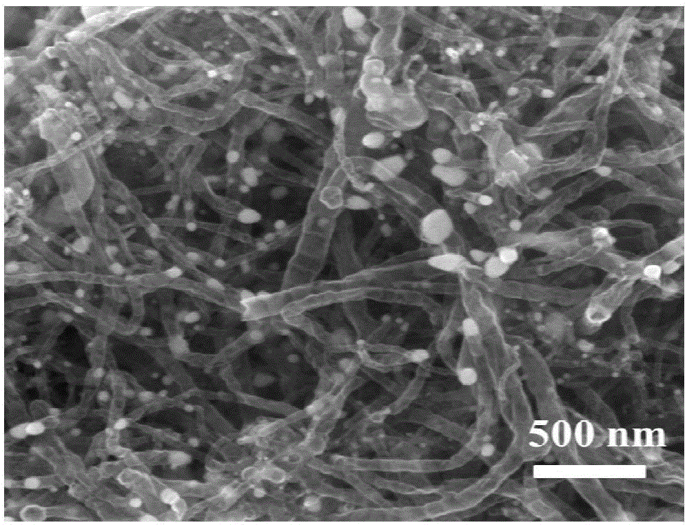 Nitrogen-doped carbon nanotube/Co composite catalyst and preparation method and application thereof