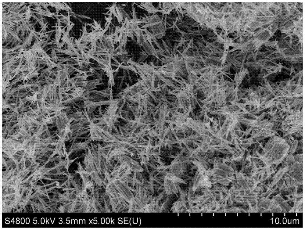 Method for synthesizing superfine tungsten trioxide all nanorods by use of hydrothermal process