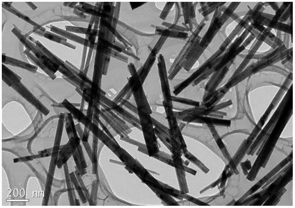 Method for synthesizing superfine tungsten trioxide all nanorods by use of hydrothermal process