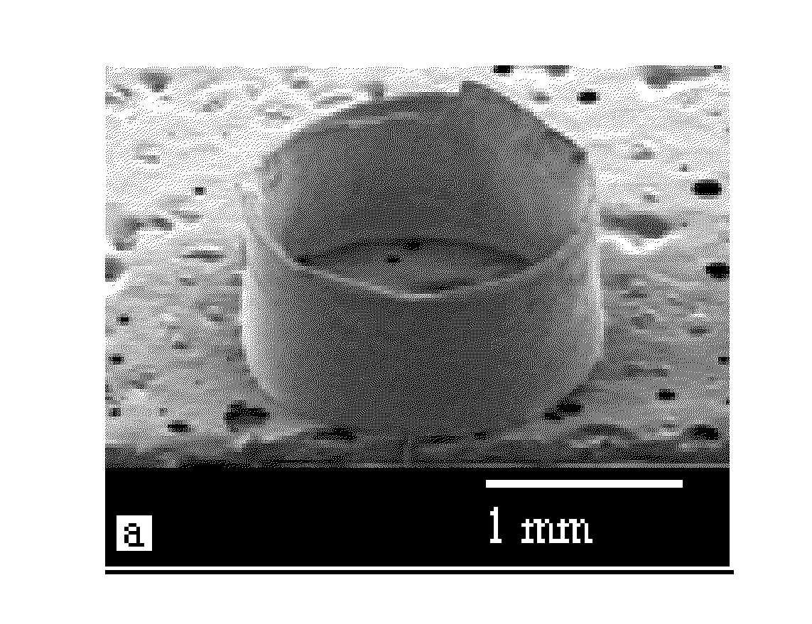 System and method of anodized aluminum oxide nano-porous membrane preparation