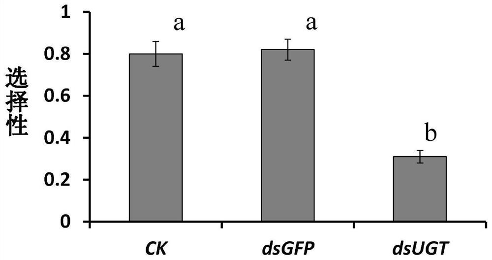 A kind of locust uridine diphosphate glucuronosyltransferase gene and its application