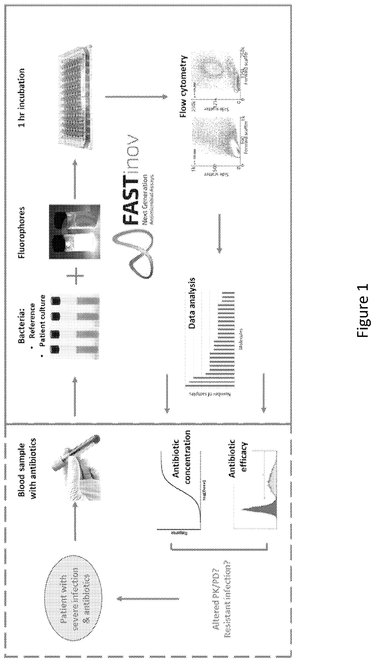 Therapeutic drug monitoring