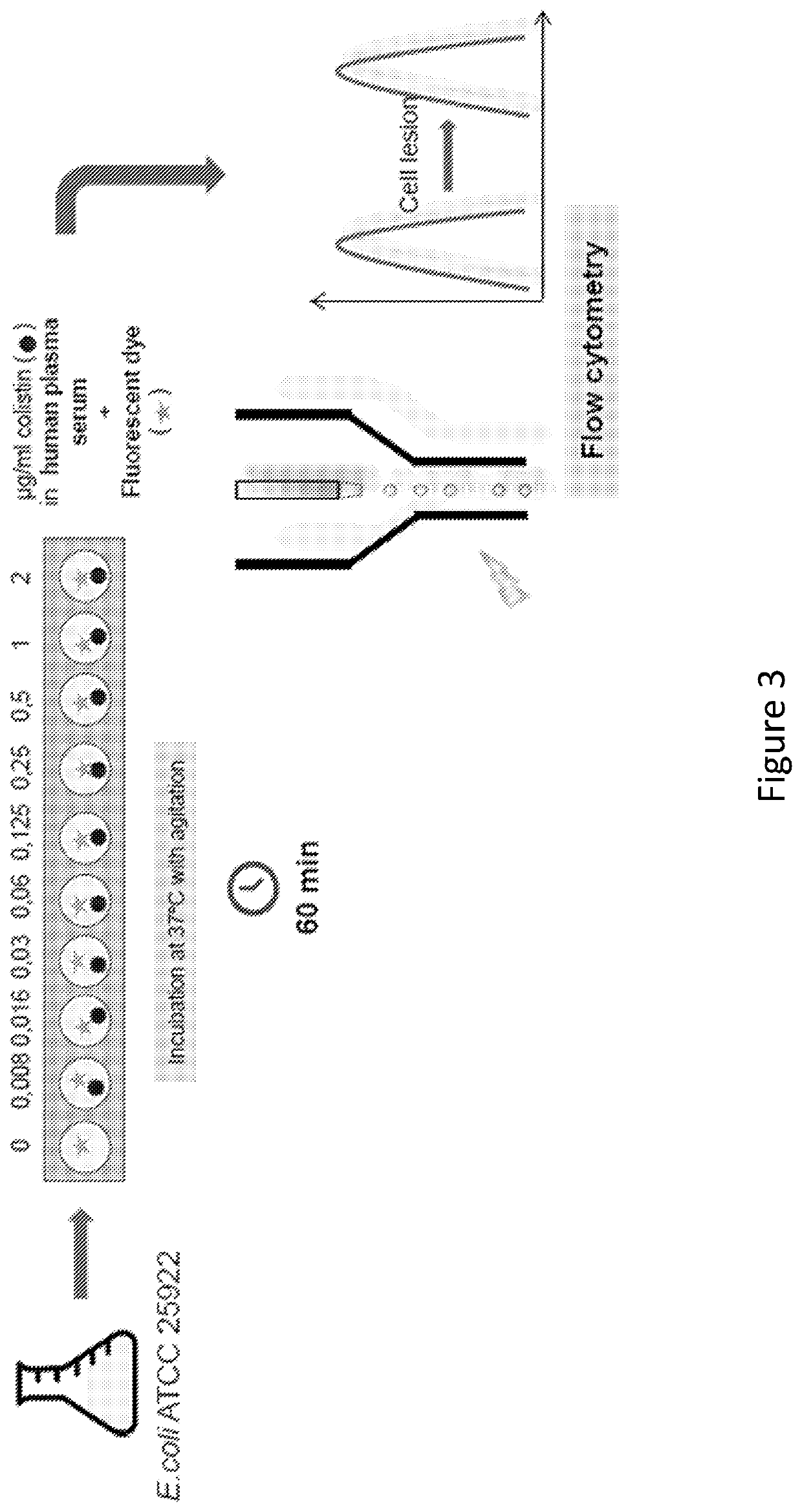 Therapeutic drug monitoring