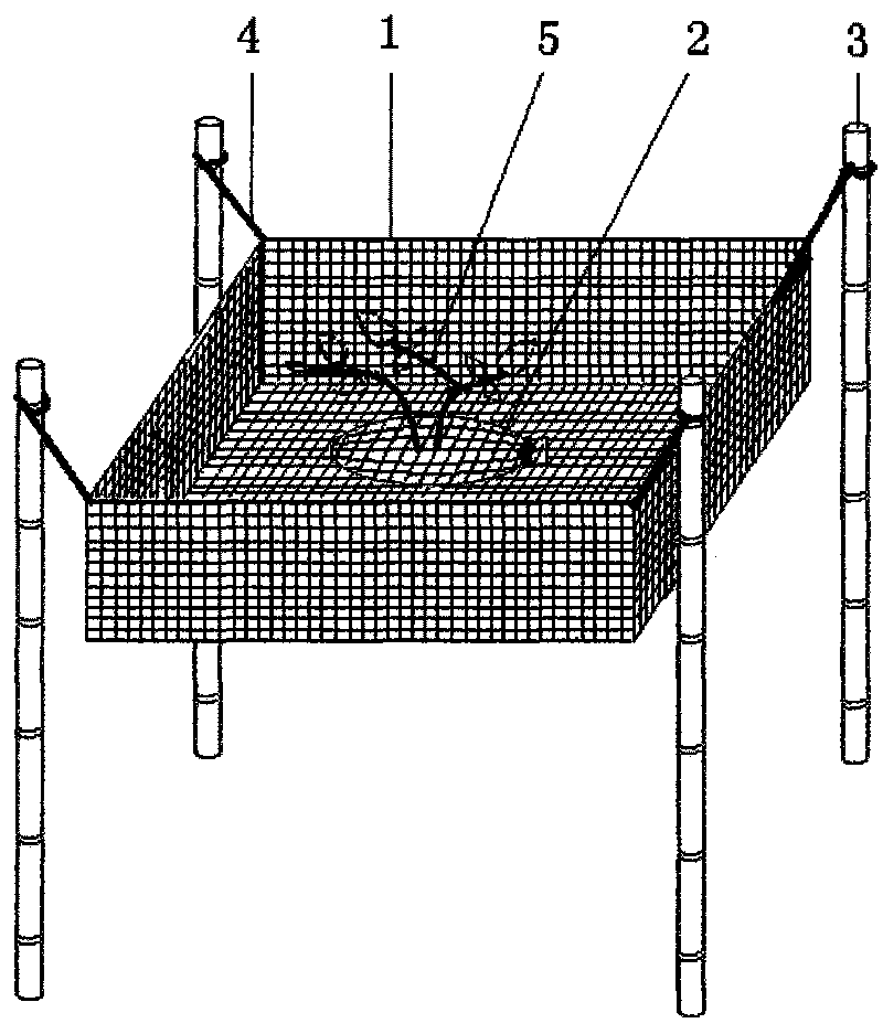 Method for cultivating water chestnut