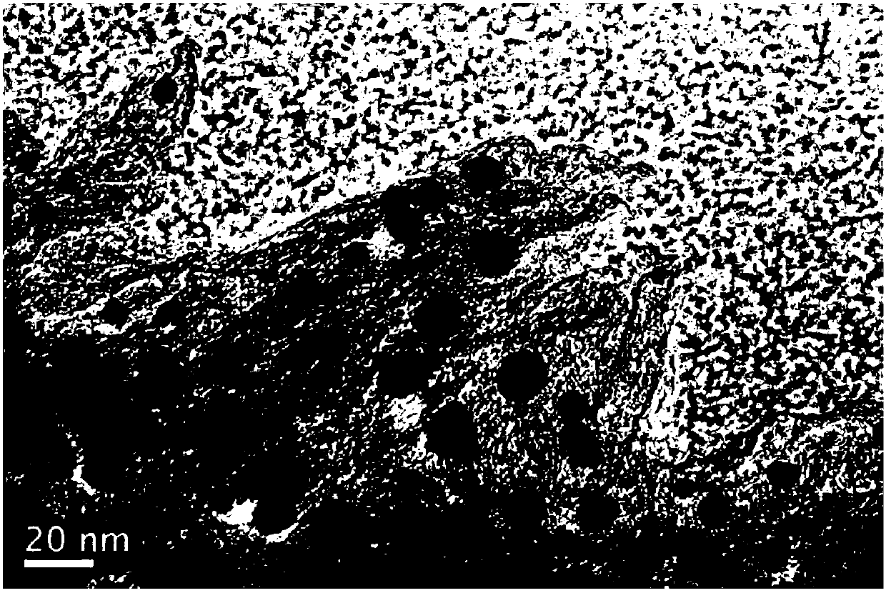 A kind of preparation method of sandwich structure composite graphene oxide paper electrode material