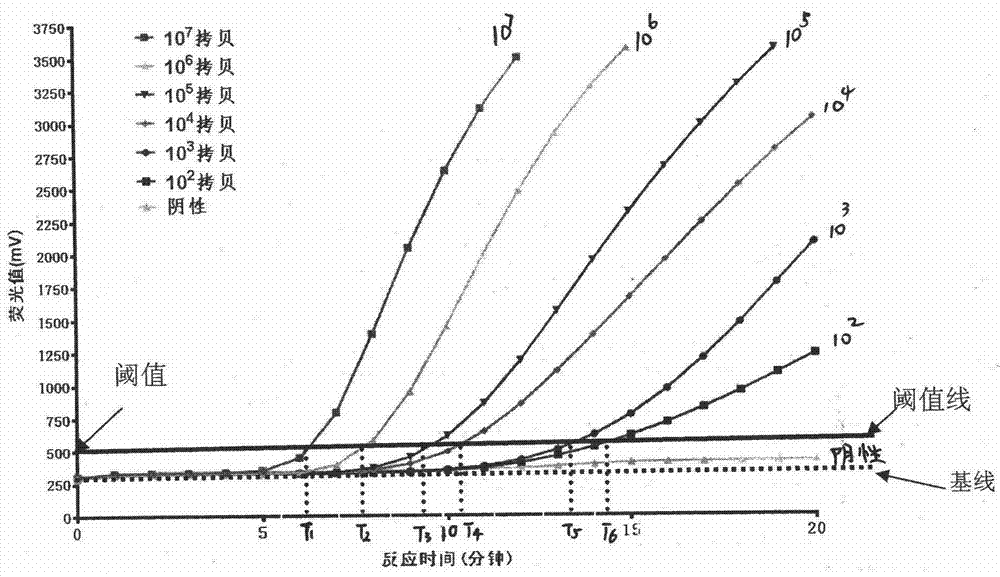 Fluorescent quantitation calculation method based on recombinase-aid isothermal nucleic acid amplification (RAA) method