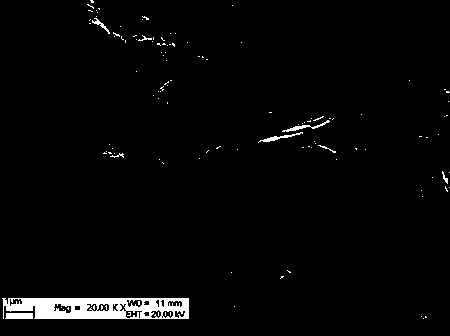 Method for preparing tungsten disulfide nano sheet